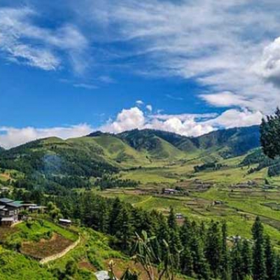 Thimphu - Punakha / Wangdi